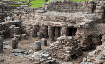 Vindolanda What’s On